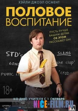 Половое воспитание (2014)