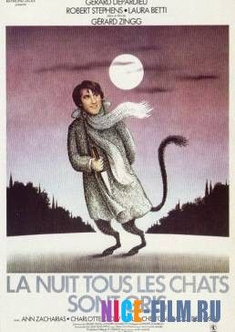 Ночью все кошки серы (1977)